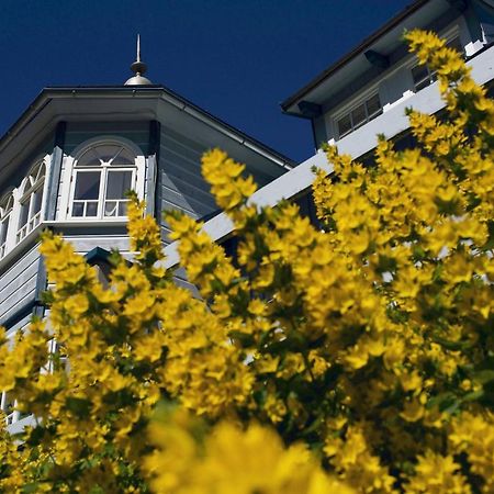 Penzion Modry Pavilon Dolní Malá Úpa エクステリア 写真