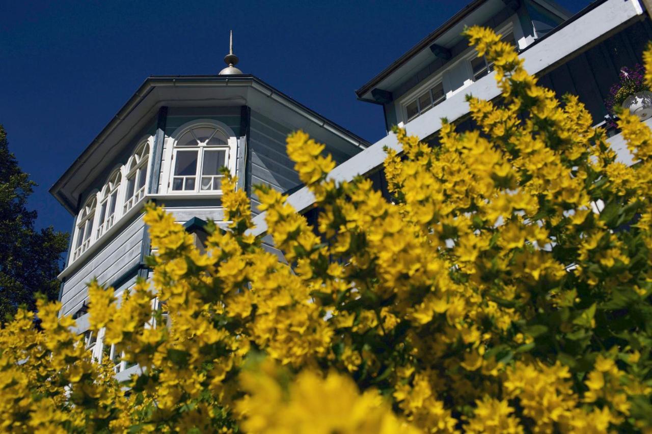 Penzion Modry Pavilon Dolní Malá Úpa エクステリア 写真